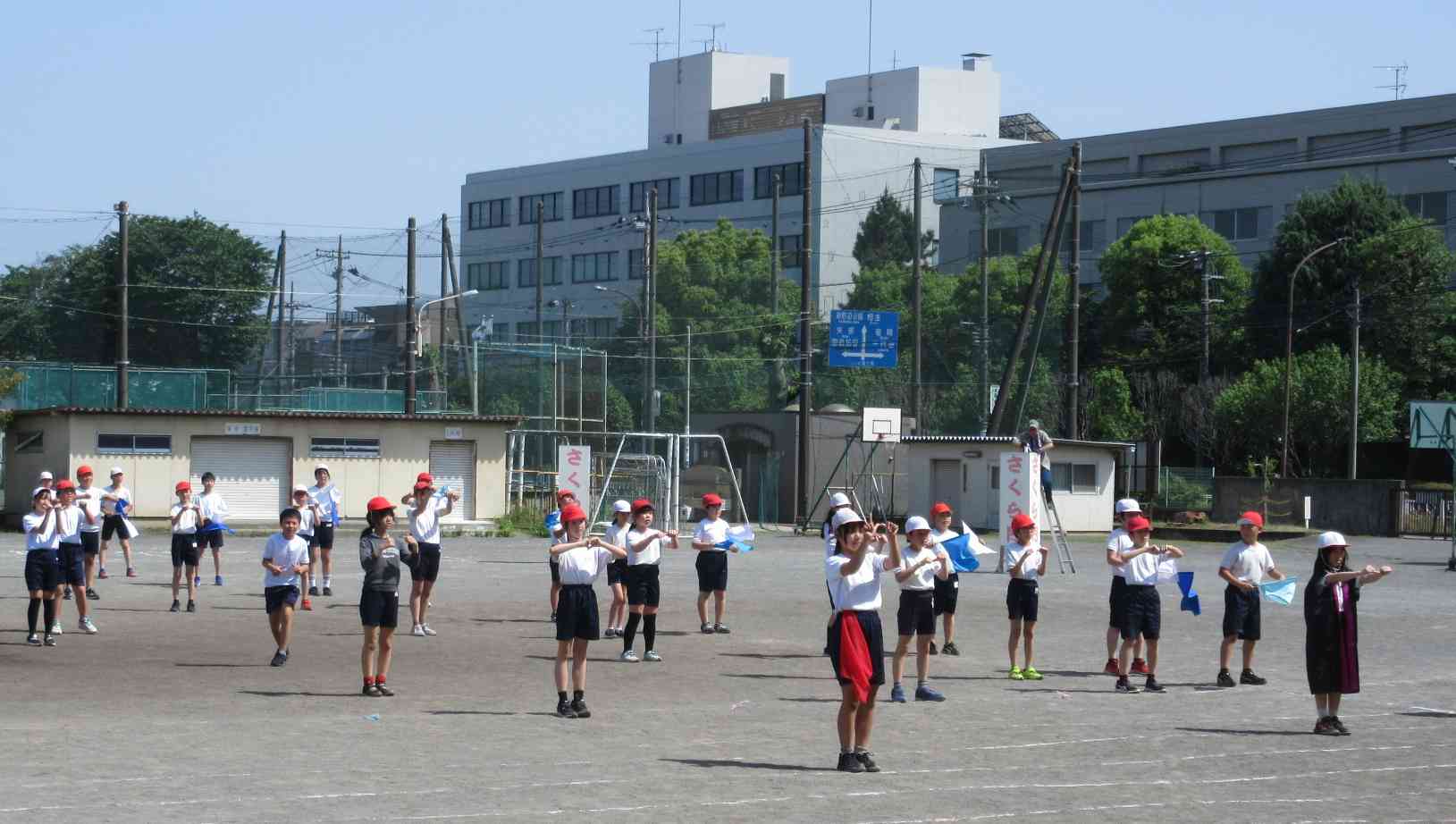 6-5